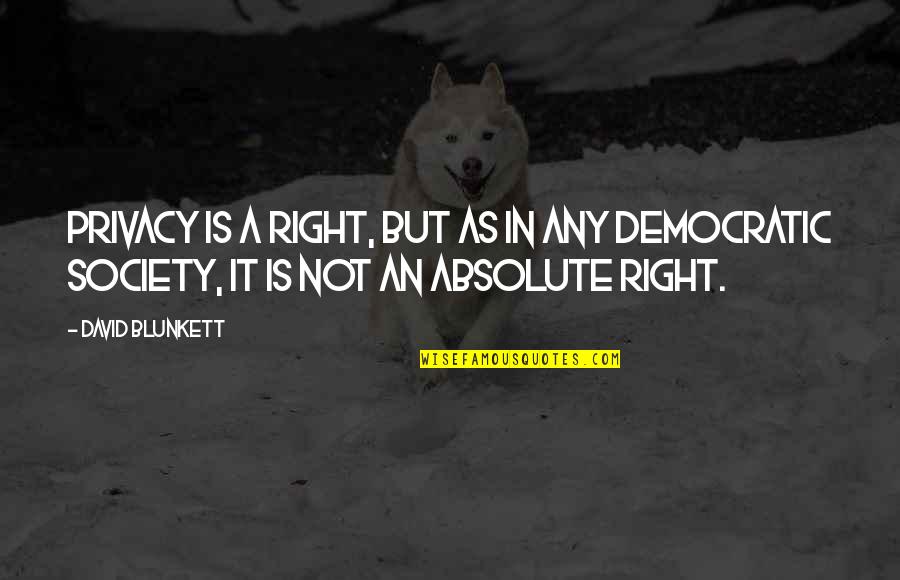 Guy Mclean Quotes By David Blunkett: Privacy is a right, but as in any