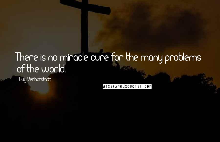 Guy Verhofstadt quotes: There is no miracle cure for the many problems of the world.