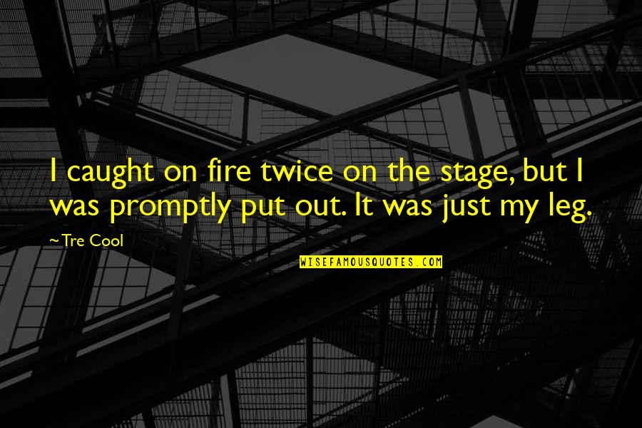 Guys Aint Loyal Quotes By Tre Cool: I caught on fire twice on the stage,