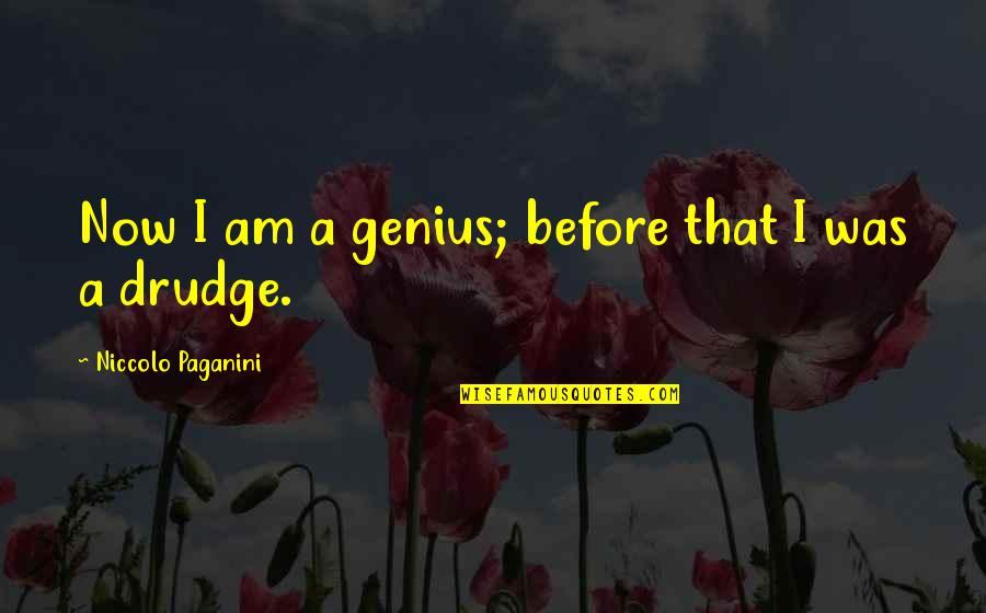 Guys Being Pricks Quotes By Niccolo Paganini: Now I am a genius; before that I
