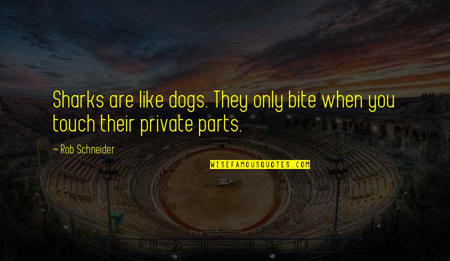 Guys Being Too Good To Be True Quotes By Rob Schneider: Sharks are like dogs. They only bite when