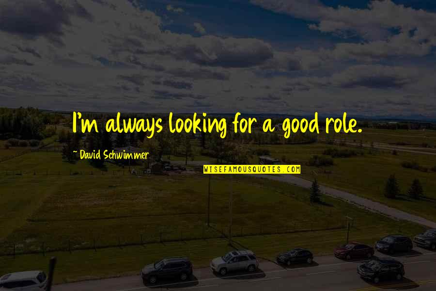 Guys Giving You Mixed Signals Quotes By David Schwimmer: I'm always looking for a good role.