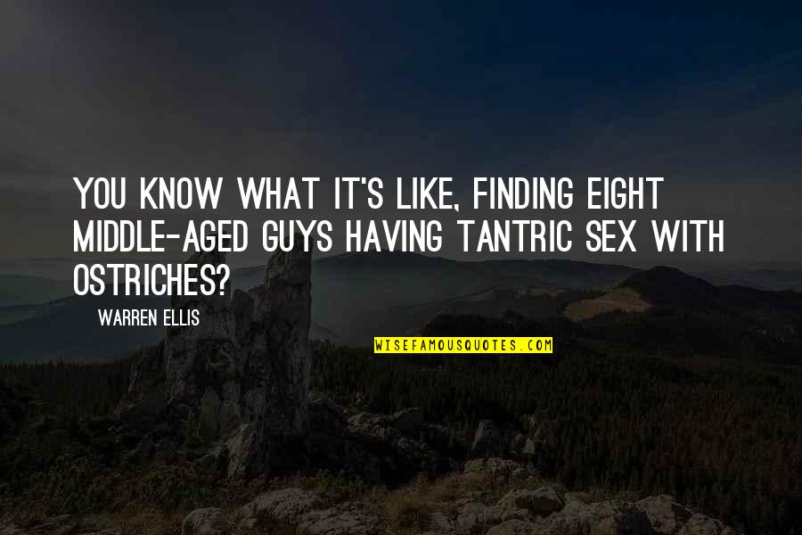 Guys Like You Quotes By Warren Ellis: You know what it's like, finding eight middle-aged