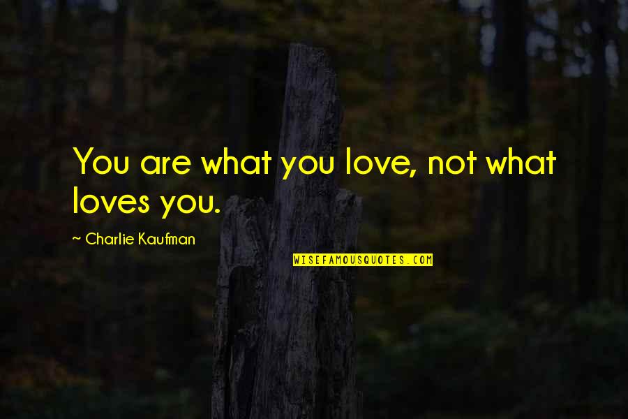 Guys Stop Trying Quotes By Charlie Kaufman: You are what you love, not what loves