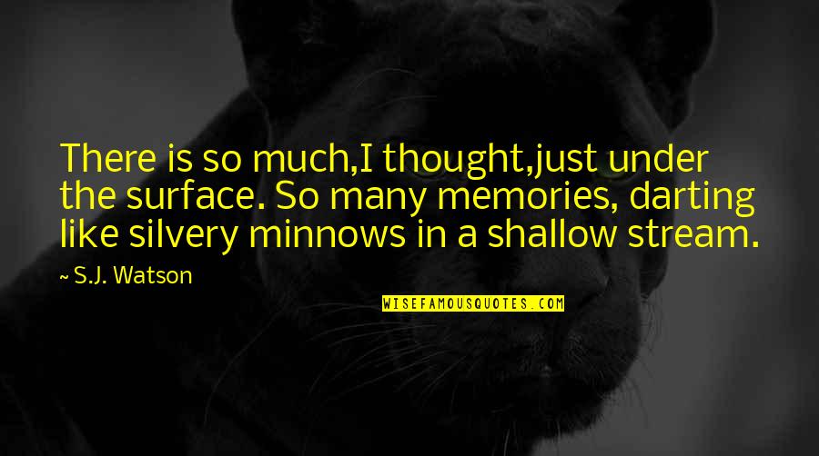 Guys Talking To Your Girlfriend Quotes By S.J. Watson: There is so much,I thought,just under the surface.