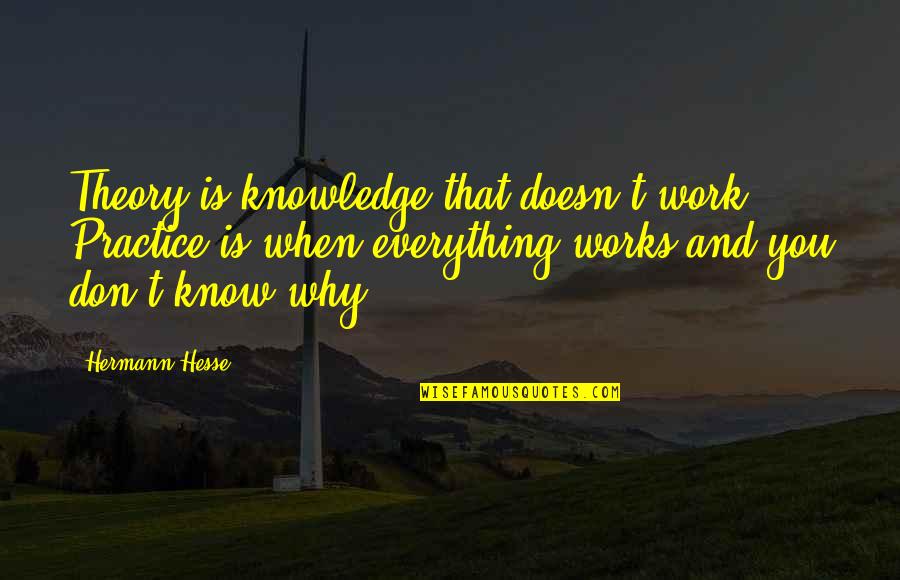 Guys Who Love God Quotes By Hermann Hesse: Theory is knowledge that doesn't work. Practice is