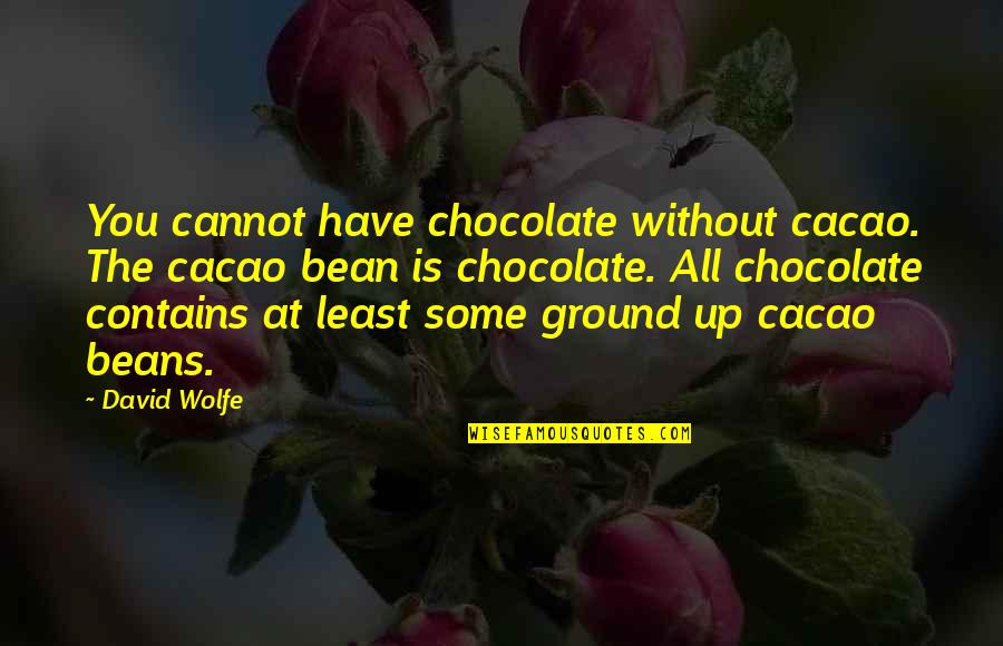 Guys Who Stop Talking To You Quotes By David Wolfe: You cannot have chocolate without cacao. The cacao