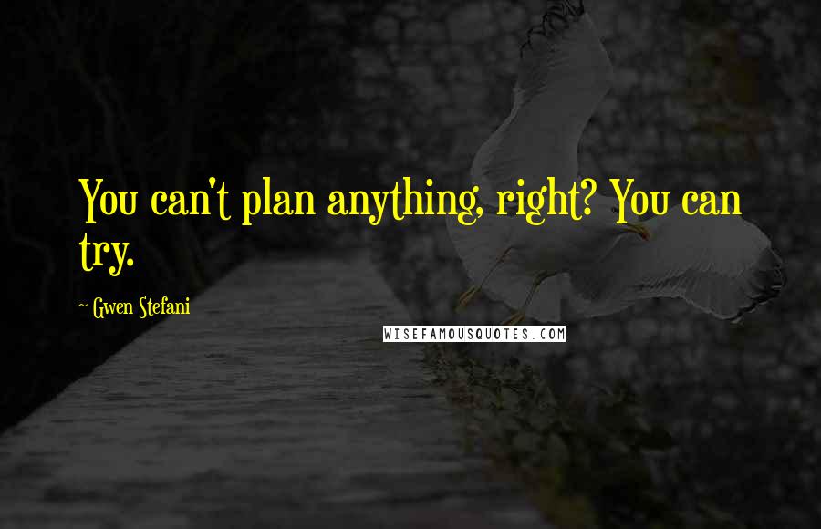 Gwen Stefani quotes: You can't plan anything, right? You can try.