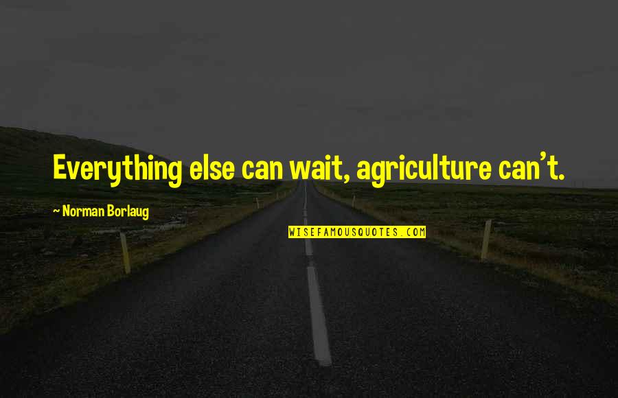 Gwenllian Verch Quotes By Norman Borlaug: Everything else can wait, agriculture can't. Gwenllian Verch Quotes By Norman Borlaug: Everything else can wait, agriculture can't.