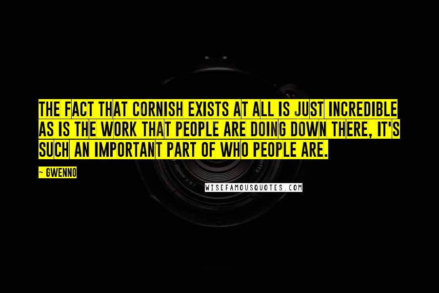 Gwenno quotes: The fact that Cornish exists at all is just incredible as is the work that people are doing down there, it's such an important part of who people are.