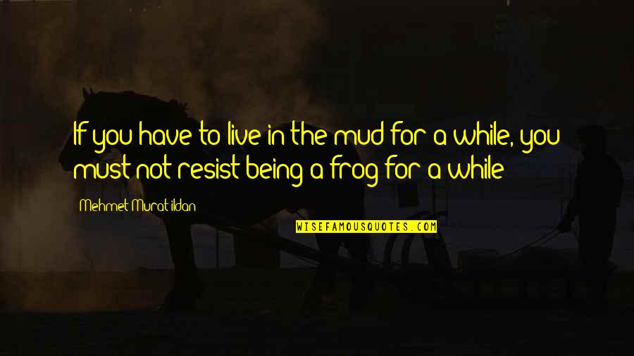 Gwongeumsung Quotes By Mehmet Murat Ildan: If you have to live in the mud Gwongeumsung Quotes By Mehmet Murat Ildan: If you have to live in the mud