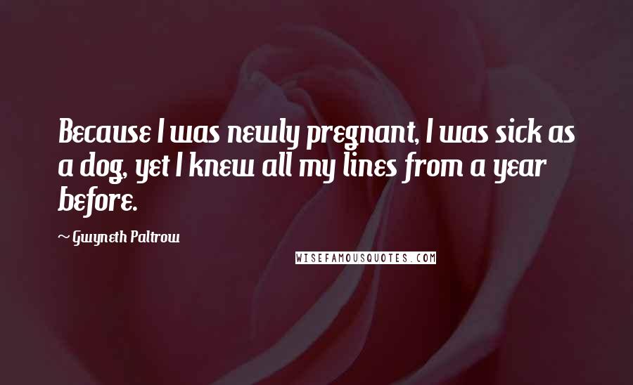 Gwyneth Paltrow quotes: Because I was newly pregnant, I was sick as a dog, yet I knew all my lines from a year before.