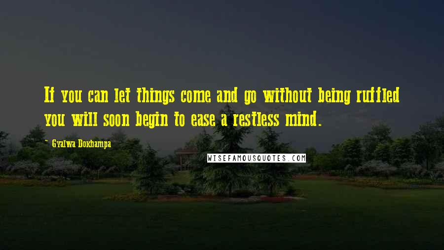 Gyalwa Dokhampa quotes: If you can let things come and go without being ruffled you will soon begin to ease a restless mind.