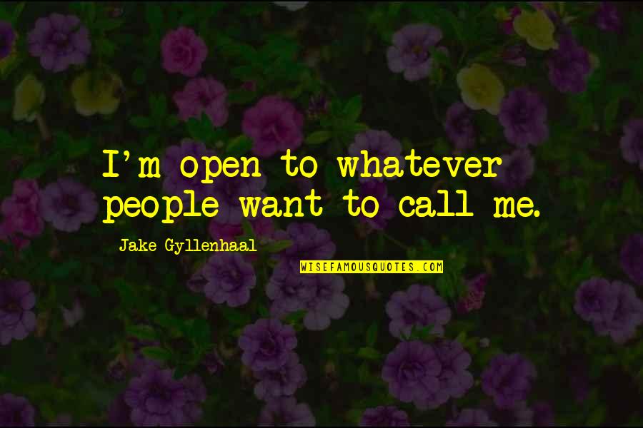 Gyllenhaal's Quotes By Jake Gyllenhaal: I'm open to whatever people want to call