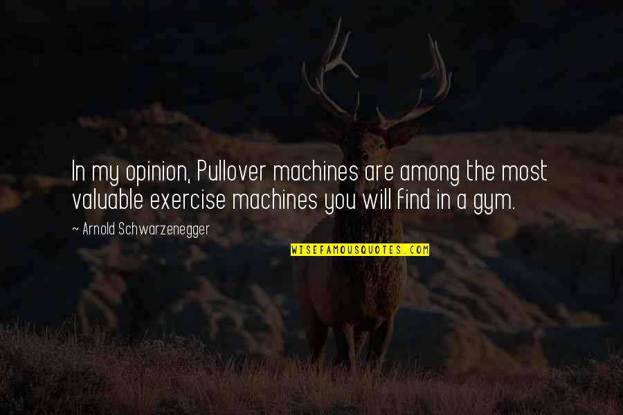 Gym Exercise Quotes By Arnold Schwarzenegger: In my opinion, Pullover machines are among the