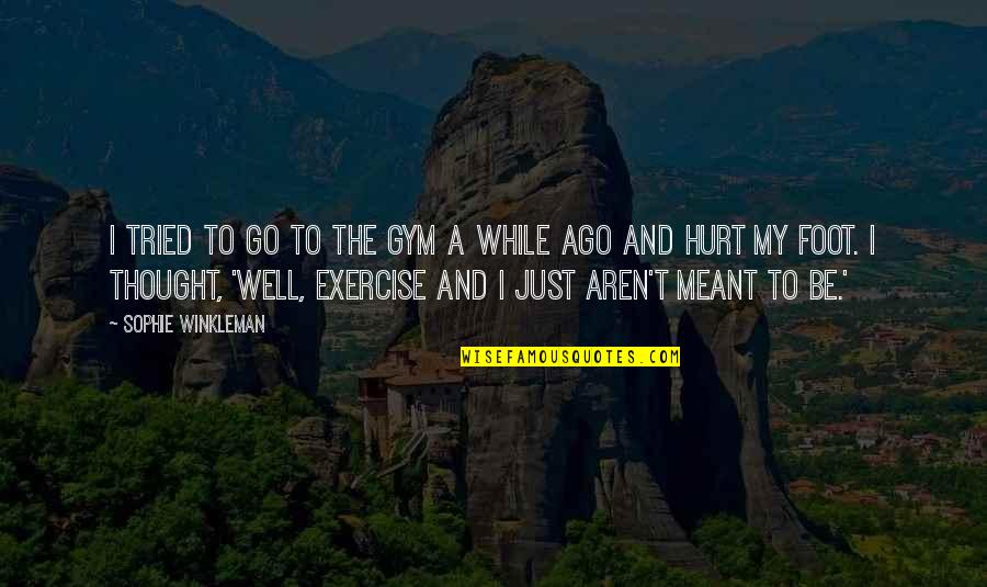 Gym Exercise Quotes By Sophie Winkleman: I tried to go to the gym a