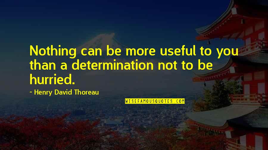 Gym Flow Quotes By Henry David Thoreau: Nothing can be more useful to you than
