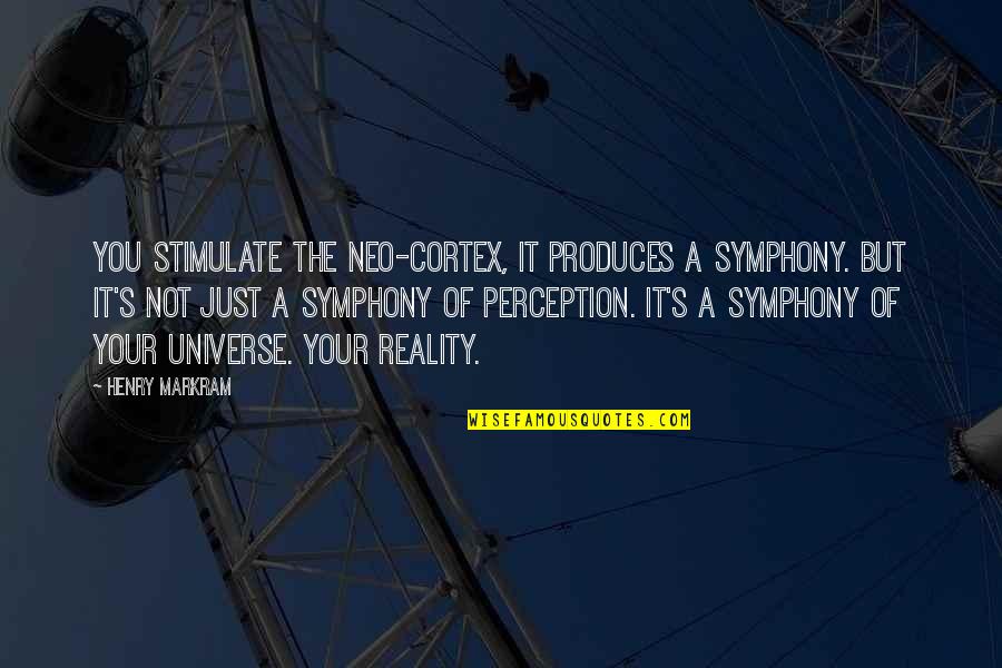 Gymnastics Splits Quotes By Henry Markram: You stimulate the neo-cortex, it produces a symphony. Gymnastics Splits Quotes By Henry Markram: You stimulate the neo-cortex, it produces a symphony.