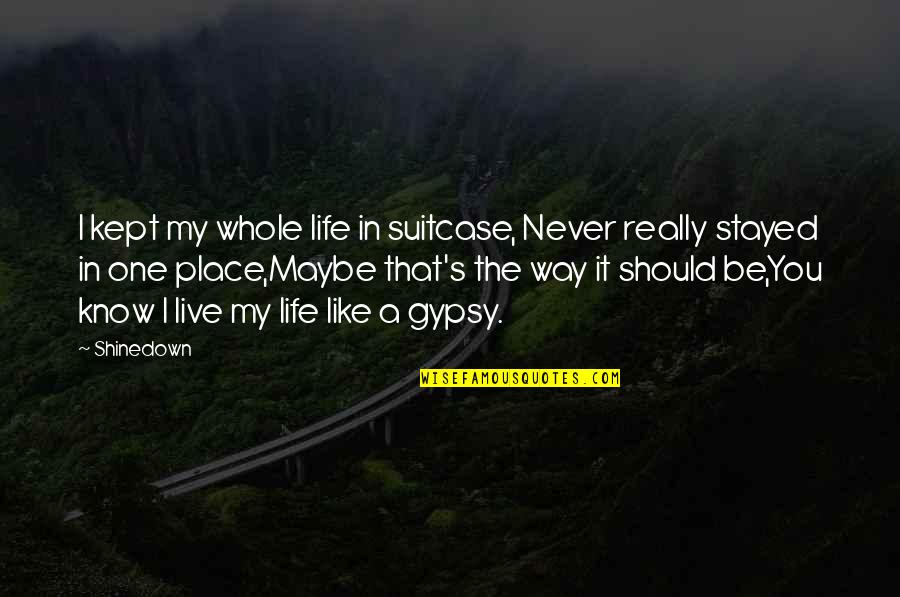 Gypsy Style Quotes By Shinedown: I kept my whole life in suitcase, Never