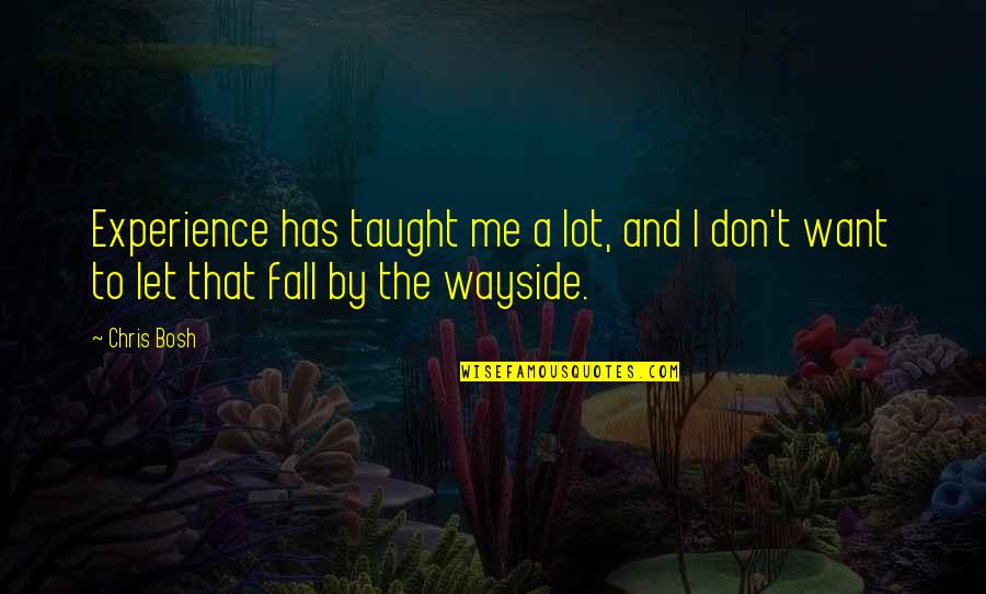 Gyrate Song Quotes By Chris Bosh: Experience has taught me a lot, and I
