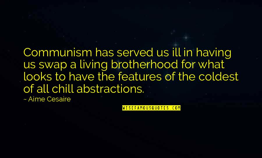 Gysels Lichtervelde Quotes By Aime Cesaire: Communism has served us ill in having us