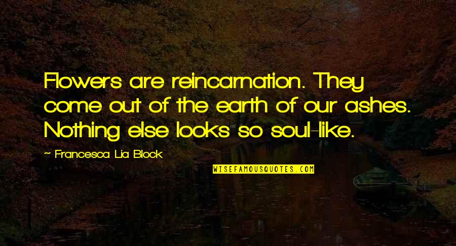 H And R Block Quotes By Francesca Lia Block: Flowers are reincarnation. They come out of the H And R Block Quotes By Francesca Lia Block: Flowers are reincarnation. They come out of the