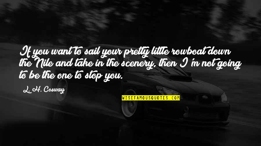 H.b.i.c Quotes By L. H. Cosway: If you want to sail your pretty little