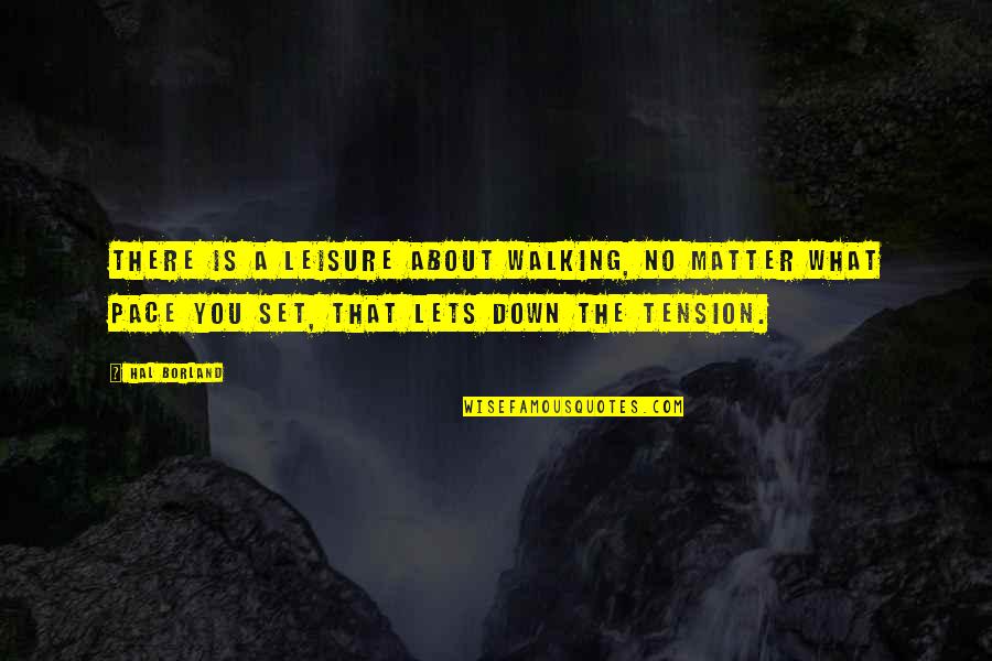H Borland Quotes By Hal Borland: There is a leisure about walking, no matter H Borland Quotes By Hal Borland: There is a leisure about walking, no matter