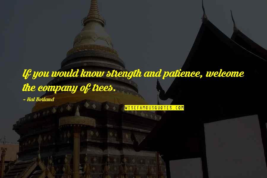 H Borland Quotes By Hal Borland: If you would know strength and patience, welcome