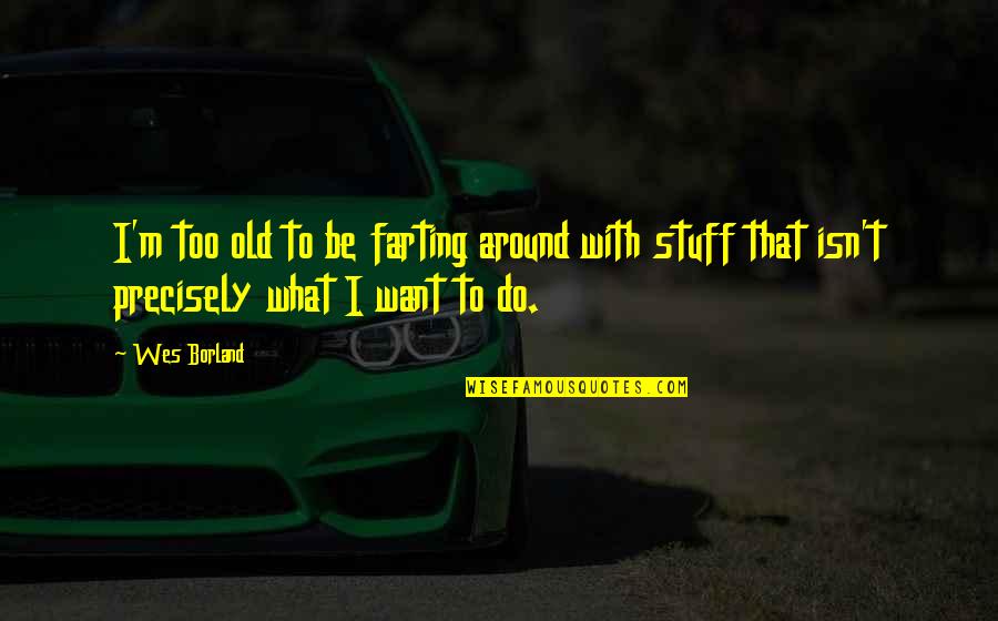 H Borland Quotes By Wes Borland: I'm too old to be farting around with