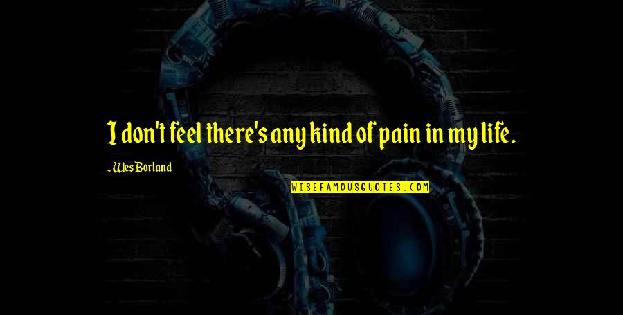 H Borland Quotes By Wes Borland: I don't feel there's any kind of pain H Borland Quotes By Wes Borland: I don't feel there's any kind of pain