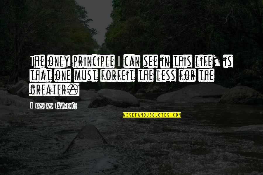 H D Lawrence Quotes By D.H. Lawrence: The only principle I can see in this