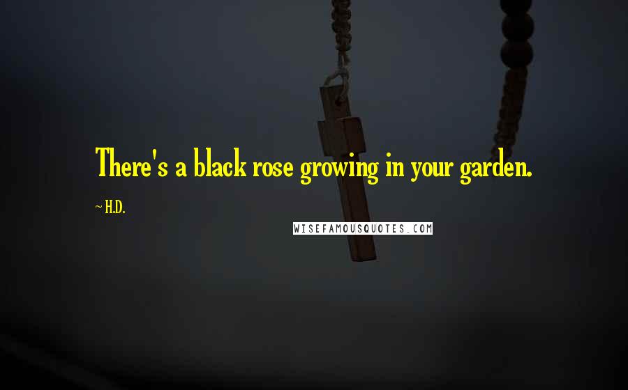 H.D. quotes: There's a black rose growing in your garden.