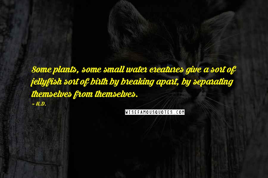 H.D. quotes: Some plants, some small water creatures give a sort of jellyfish sort of birth by breaking apart, by separating themselves from themselves.