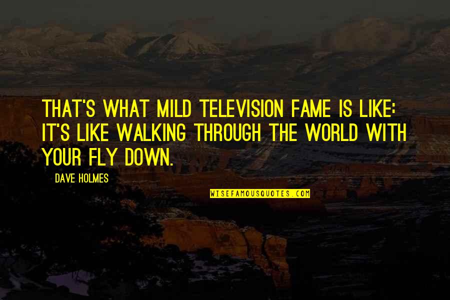 H H Holmes Quotes By Dave Holmes: That's what mild television fame is like: it's H H Holmes Quotes By Dave Holmes: That's what mild television fame is like: it's