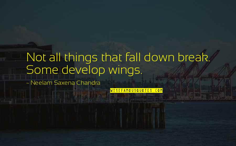 H J Wings Things Quotes By Neelam Saxena Chandra: Not all things that fall down break. Some H J Wings Things Quotes By Neelam Saxena Chandra: Not all things that fall down break. Some