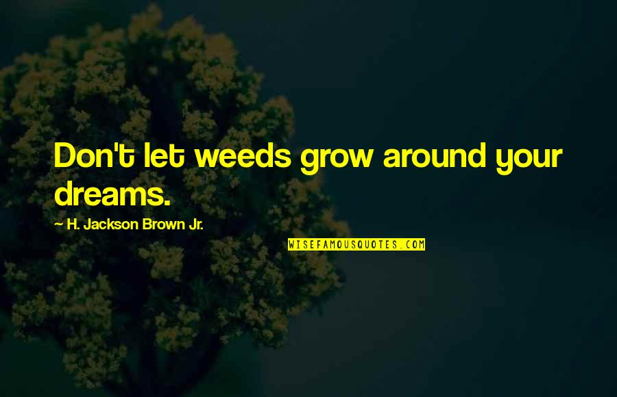 H Jackson Brown Quotes By H. Jackson Brown Jr.: Don't let weeds grow around your dreams.