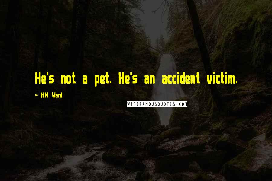 H.M. Ward quotes: He's not a pet. He's an accident victim.