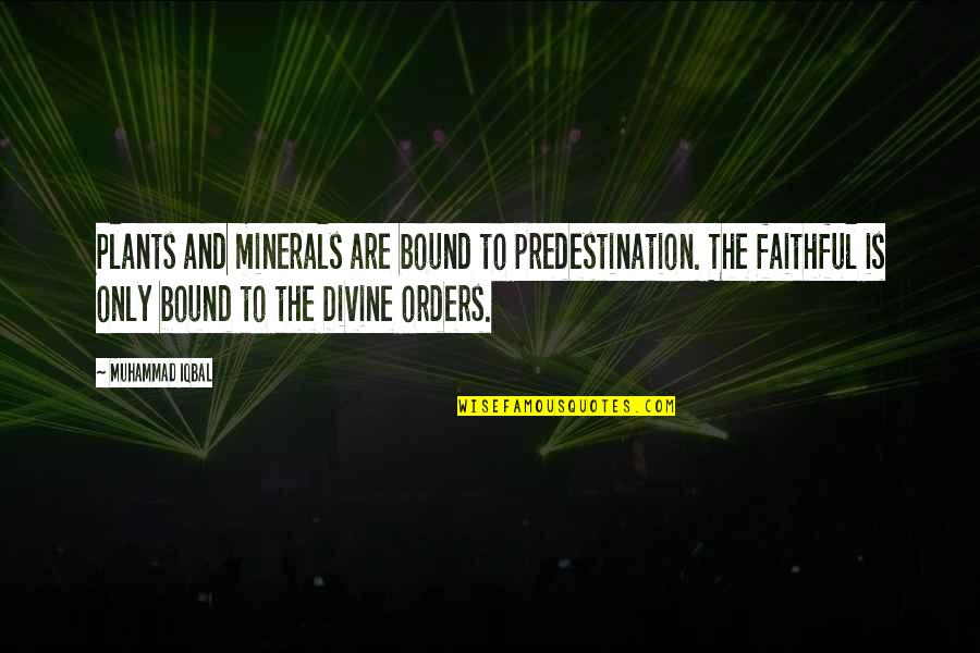 H Riss Quotes By Muhammad Iqbal: Plants and minerals are bound to predestination. The H Riss Quotes By Muhammad Iqbal: Plants and minerals are bound to predestination. The