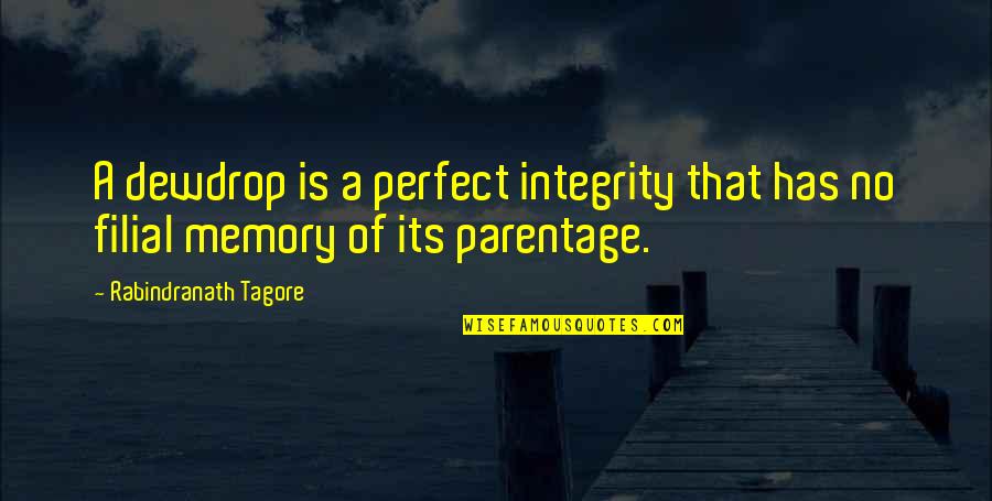 H Ssliche Menschen Quotes By Rabindranath Tagore: A dewdrop is a perfect integrity that has