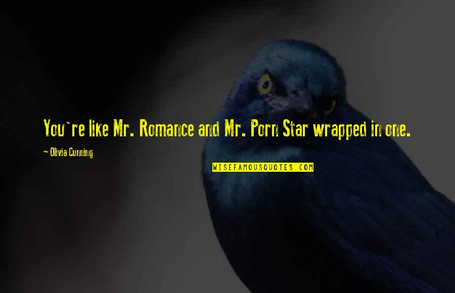Haapasalo Goes Quotes By Olivia Cunning: You're like Mr. Romance and Mr. Porn Star