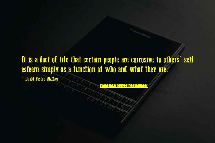 Haarlem Quotes By David Foster Wallace: It is a fact of life that certain Haarlem Quotes By David Foster Wallace: It is a fact of life that certain