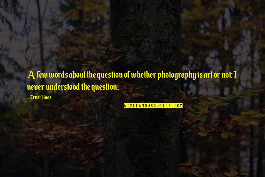 Haas Quotes By Ernst Haas: A few words about the question of whether
