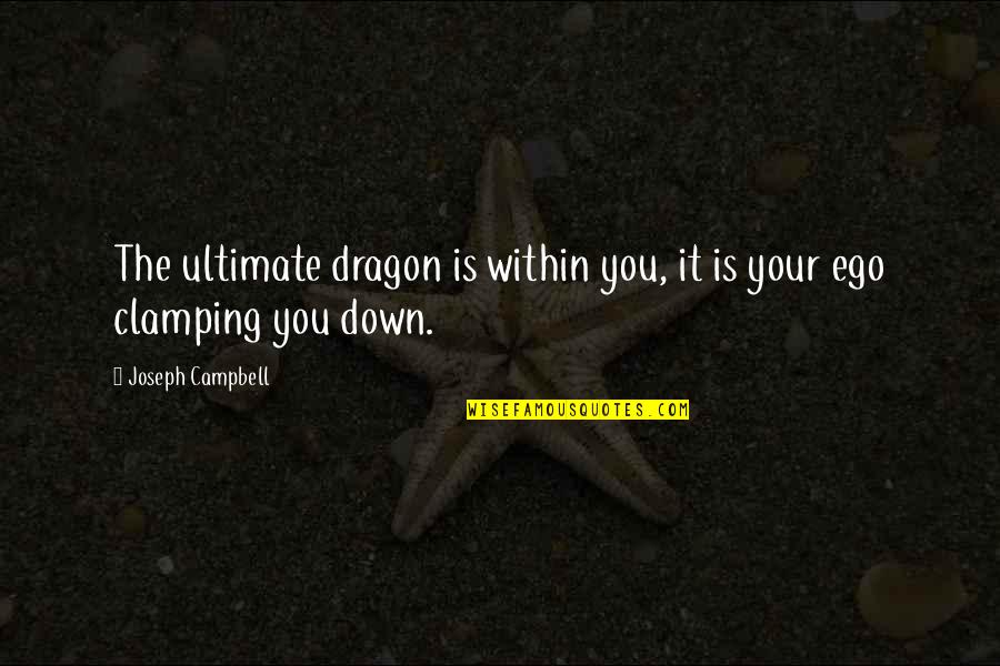 Haasteren Quotes By Joseph Campbell: The ultimate dragon is within you, it is