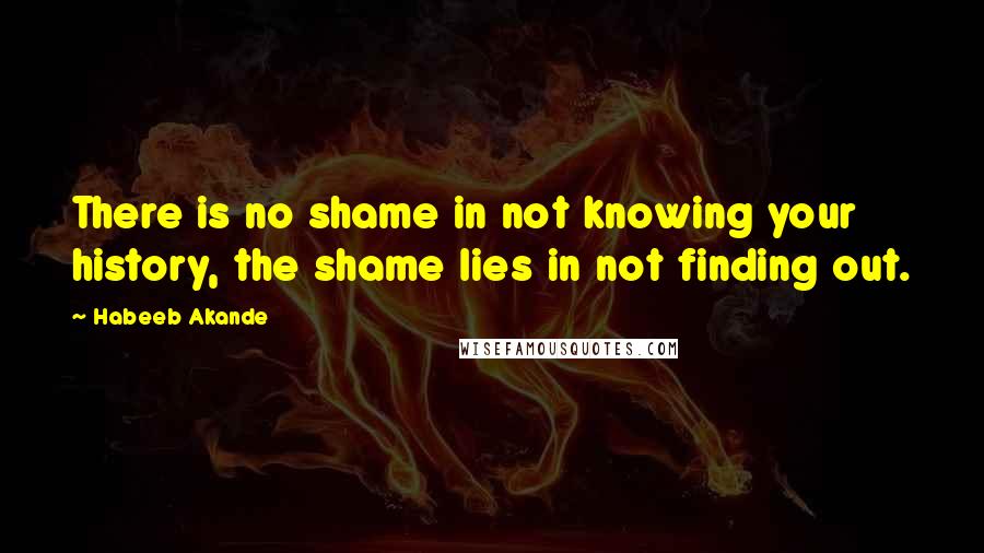 Habeeb Akande quotes: There is no shame in not knowing your history, the shame lies in not finding out.