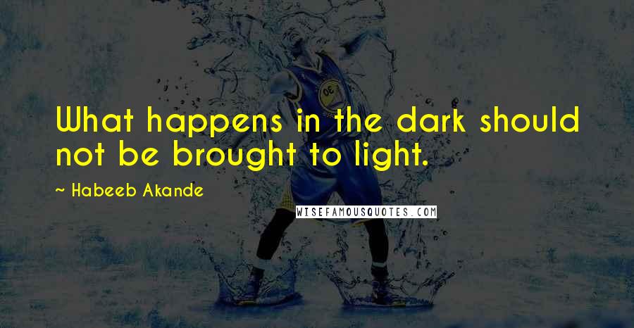 Habeeb Akande quotes: What happens in the dark should not be brought to light.