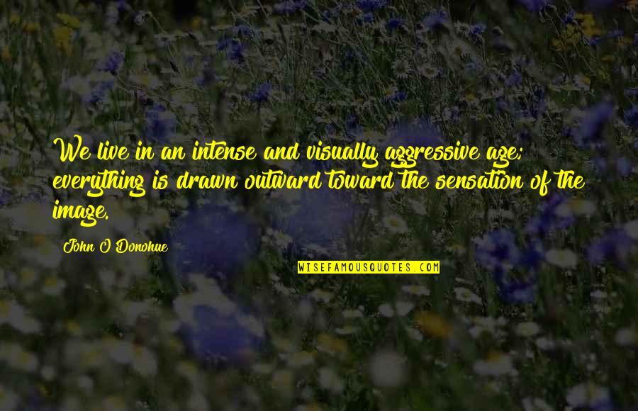 Habib Ali Zaenal Abidin Quotes By John O'Donohue: We live in an intense and visually aggressive Habib Ali Zaenal Abidin Quotes By John O'Donohue: We live in an intense and visually aggressive