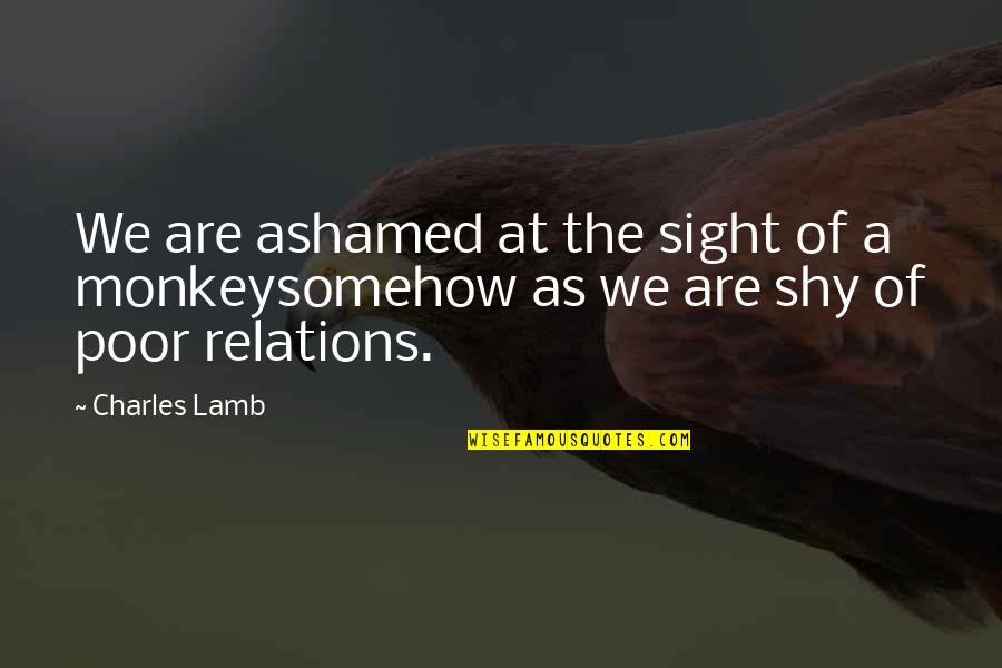 Habilis Skull Quotes By Charles Lamb: We are ashamed at the sight of a
