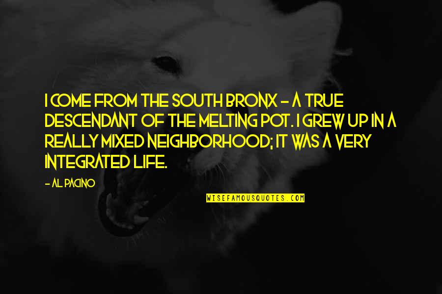 Habits And Growing Quotes By Al Pacino: I come from the South Bronx - a