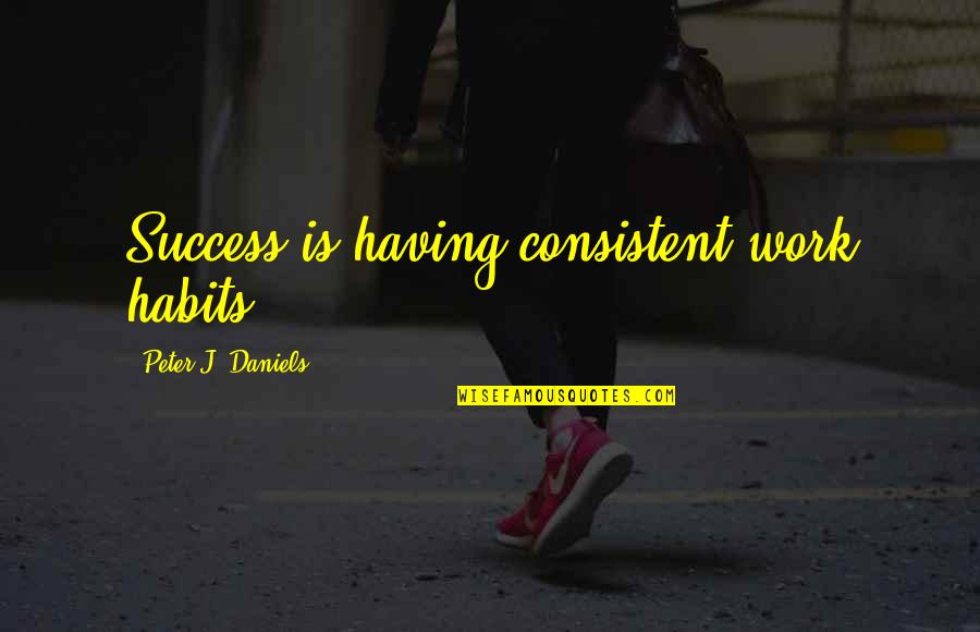 Habits For Success Quotes By Peter J. Daniels: Success is having consistent work habits.